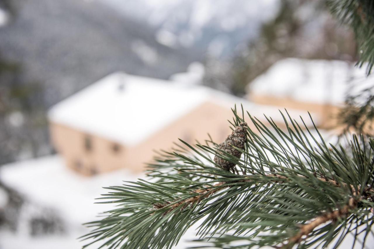 Archehof Hochzirm Lodge Anna كامبو توريس المظهر الخارجي الصورة